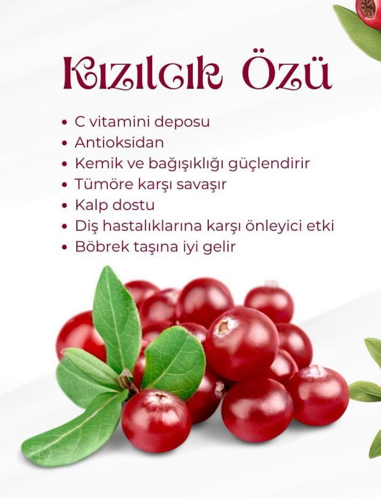 Ulya Hayat Doğal Ev Yapımı Kızılcık Özü Katkısız Kimyasalsız Şekersiz Vegan Fabrikasyon Değil